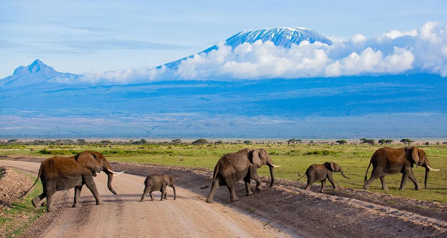 Group of travellers exploring together